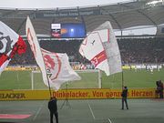 21_02_09 _VfB_Hoffenheim057